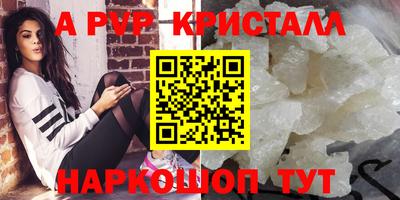 спиды Гай