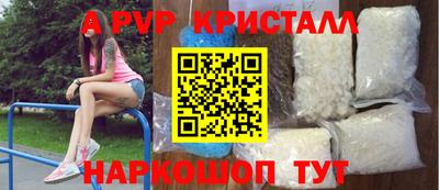 спиды Гай