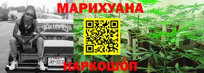 спиды Гай
