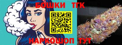 спиды Гай