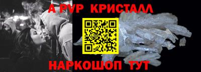 спиды Гай