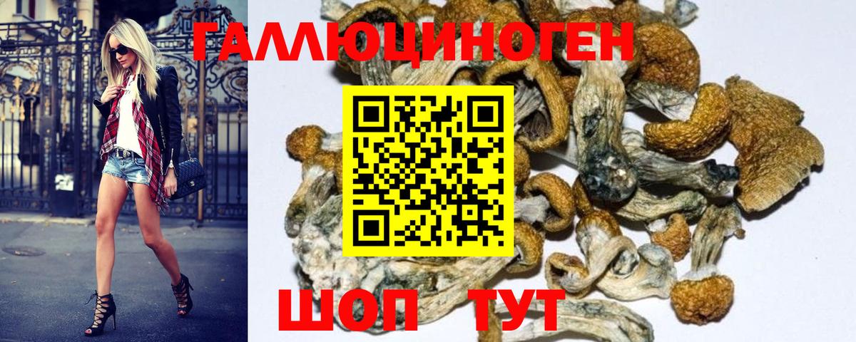 Галлюциногенные грибы ЛСД Можайск